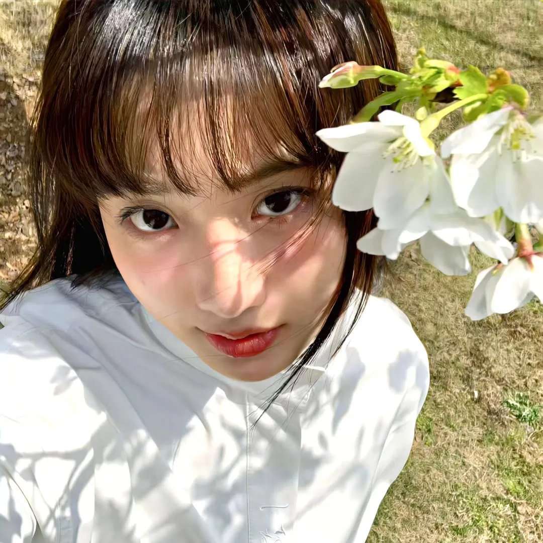 泰囧