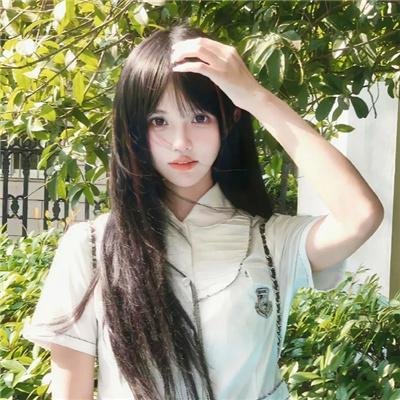 梦之森林